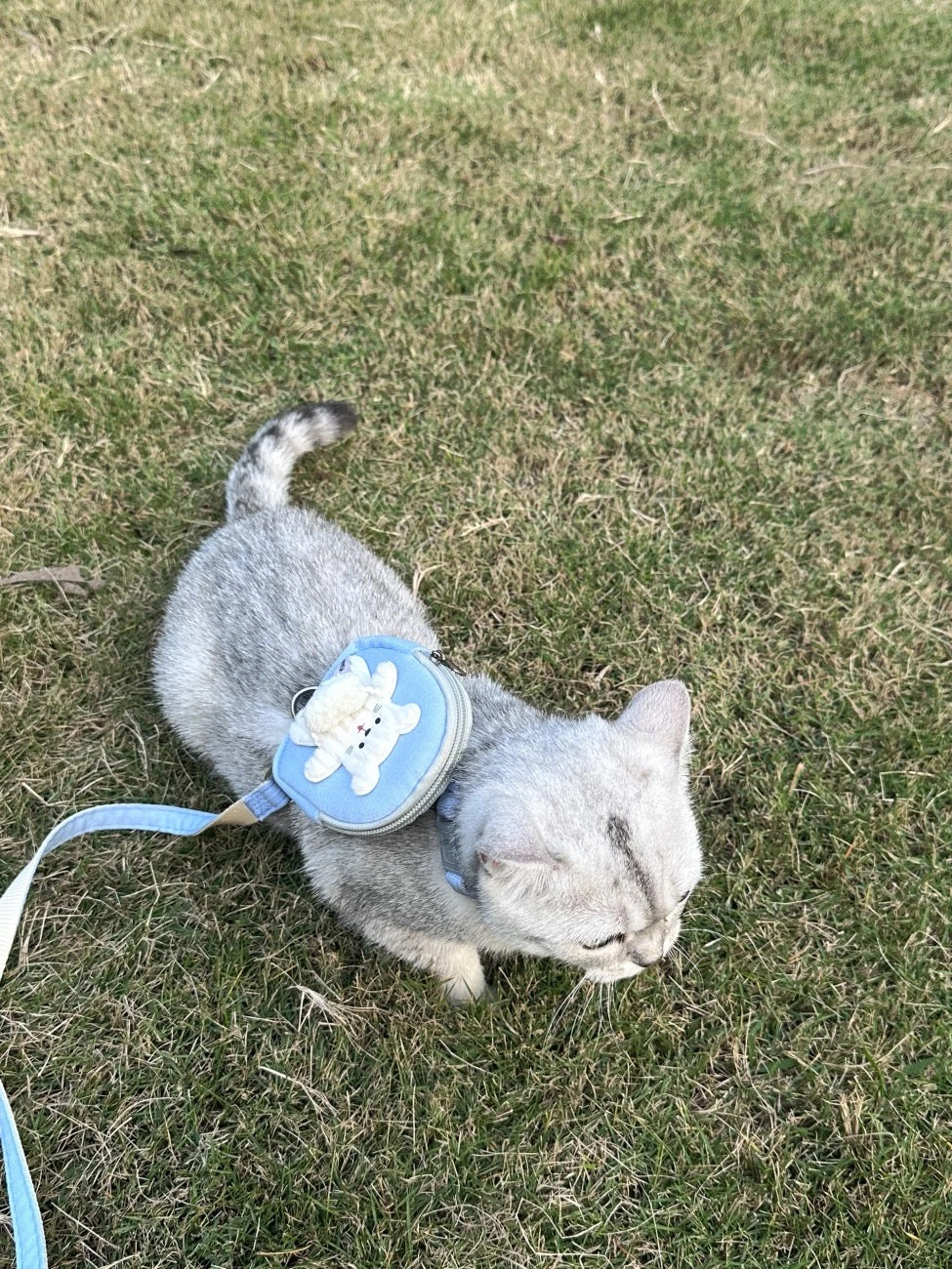 Tiny Tourist Backpack Leash