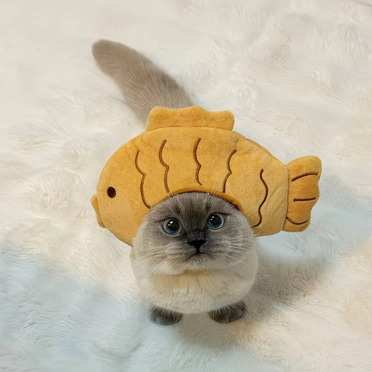 Cute grey cat wearing a plush yellow Taiyaki fish costume hat topper