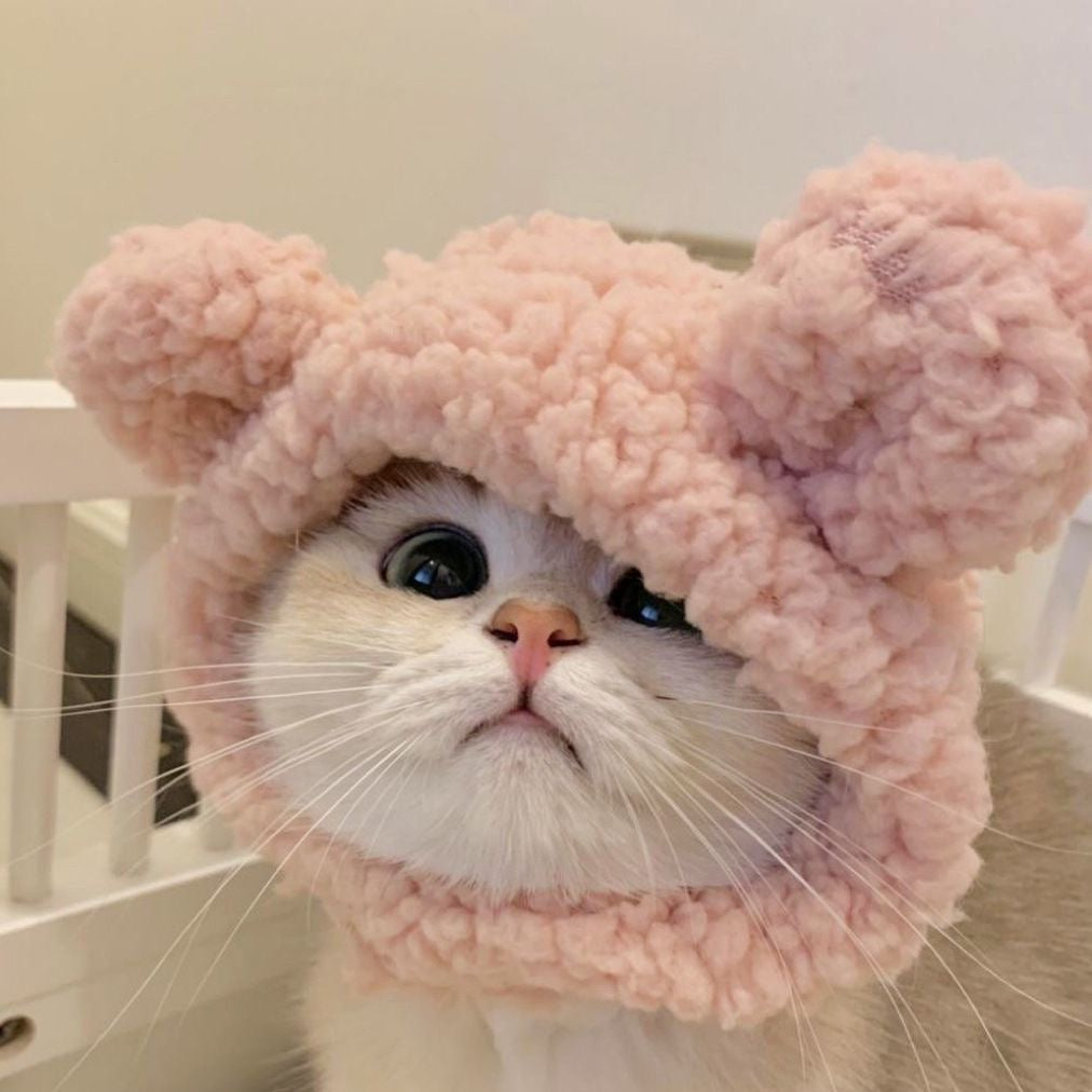 Bearie Berry - Pet Hat