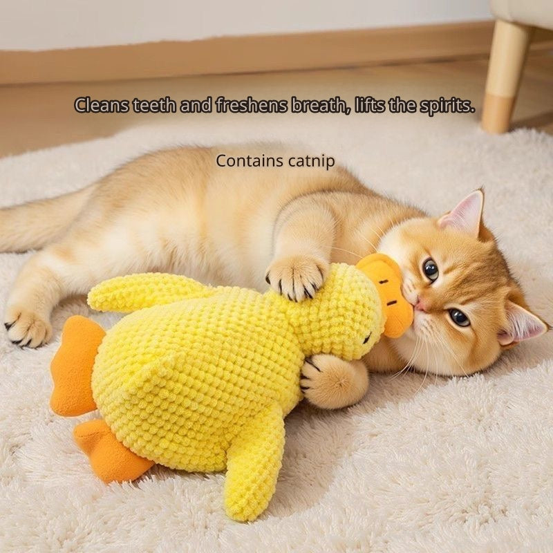 Ducky - Quacking Plush Pet Toy