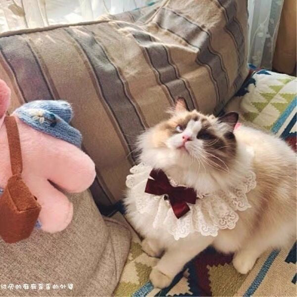 Princess Bow Tie - Elegant Pet Collar Accessory