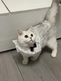 Princess Bow Tie - Elegant Pet Collar Accessory
