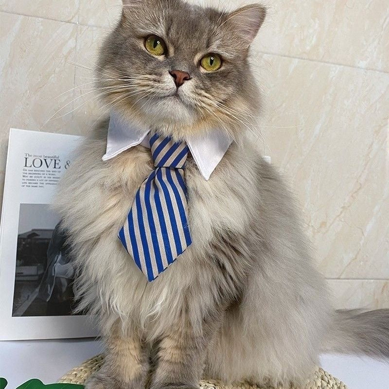 Business Paw - Adjustable Striped Pet Necktie Collar