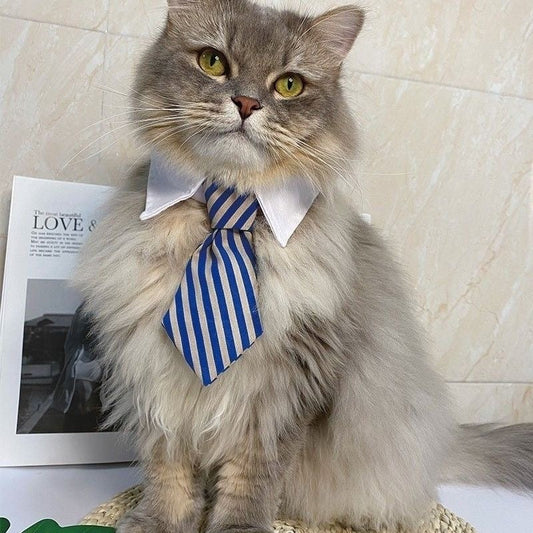 Business Paw - Adjustable Striped Pet Necktie Collar