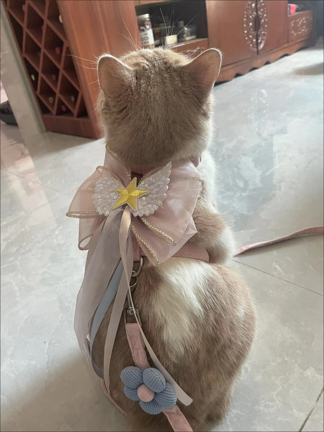 Celestial Fairy - Adjustable Bowtie Pet Collar
