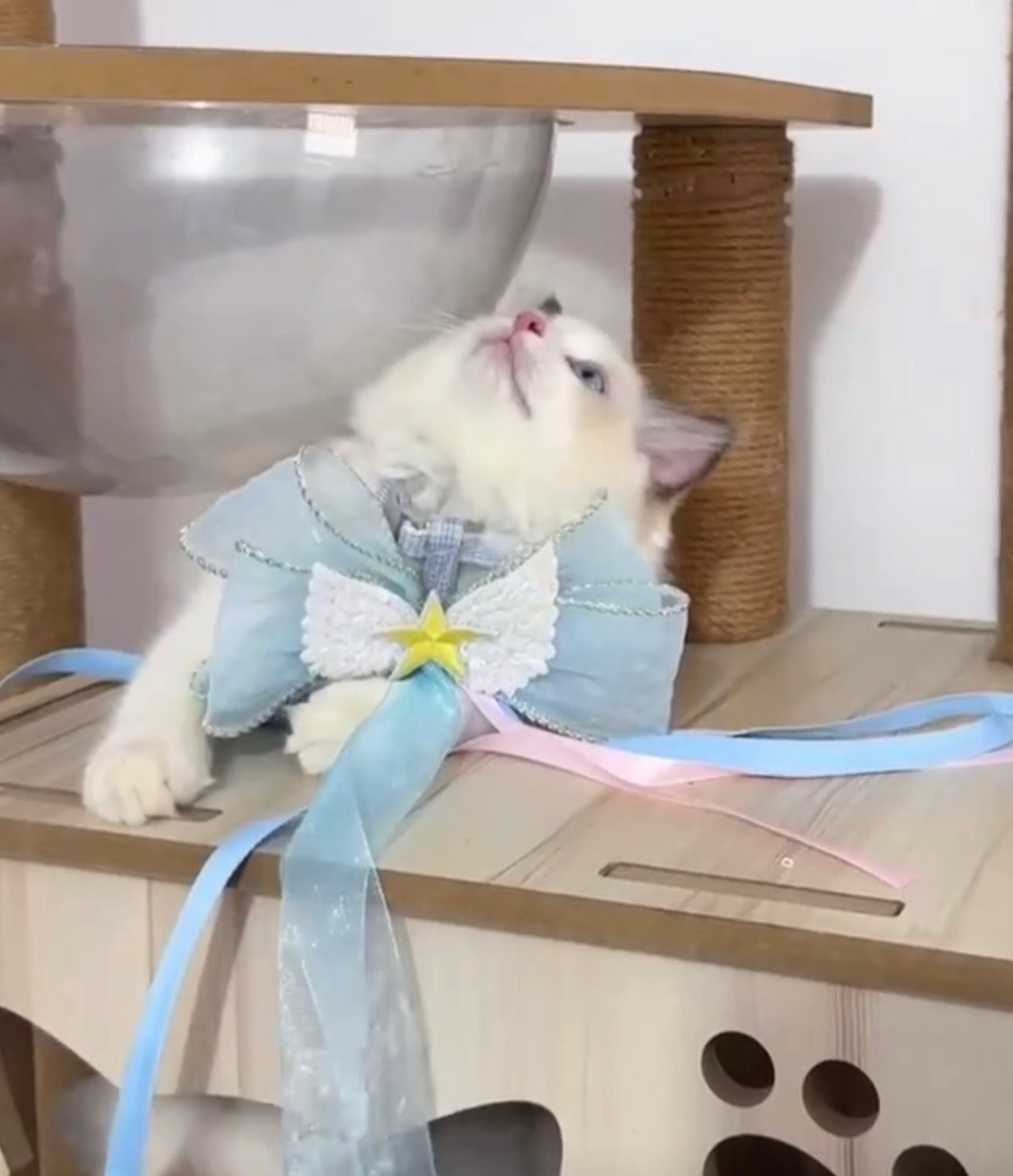blue_fairy_collar