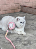 White cat wearing pink Tiny Tourist pet backpack leash with matching pink leash