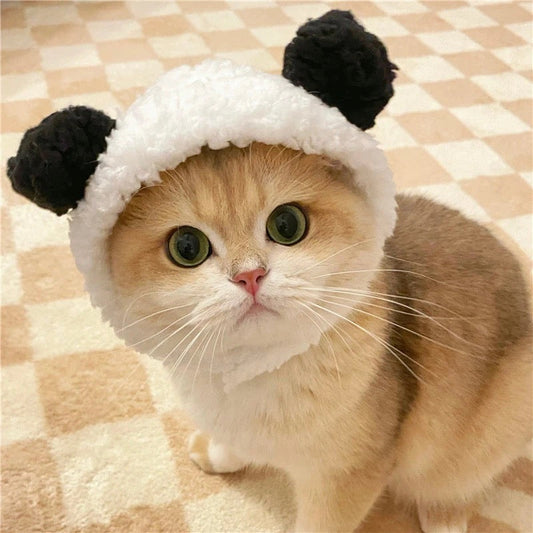 Cute kitten wearing a plush white and black Panda Pod panda bear costume hat