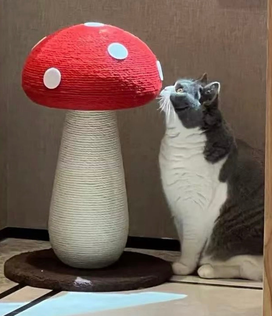 Shrooms - Cat Scratching Post